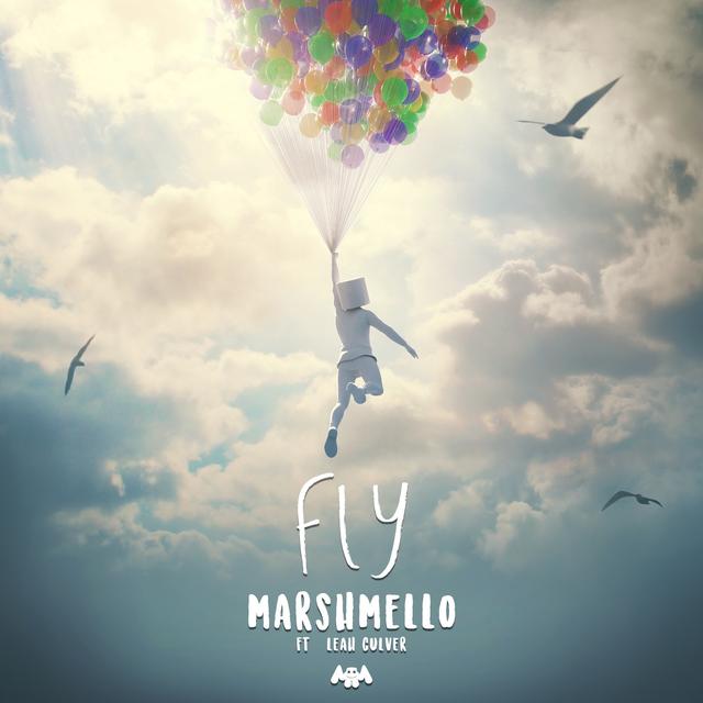 Album cover art for Fly