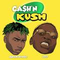 Album cover art for Cash N Kush