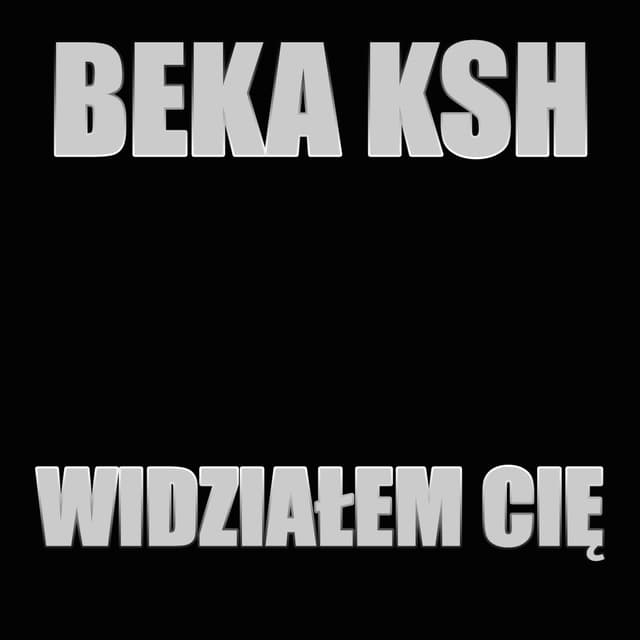 Album cover art for Widziałem Cię