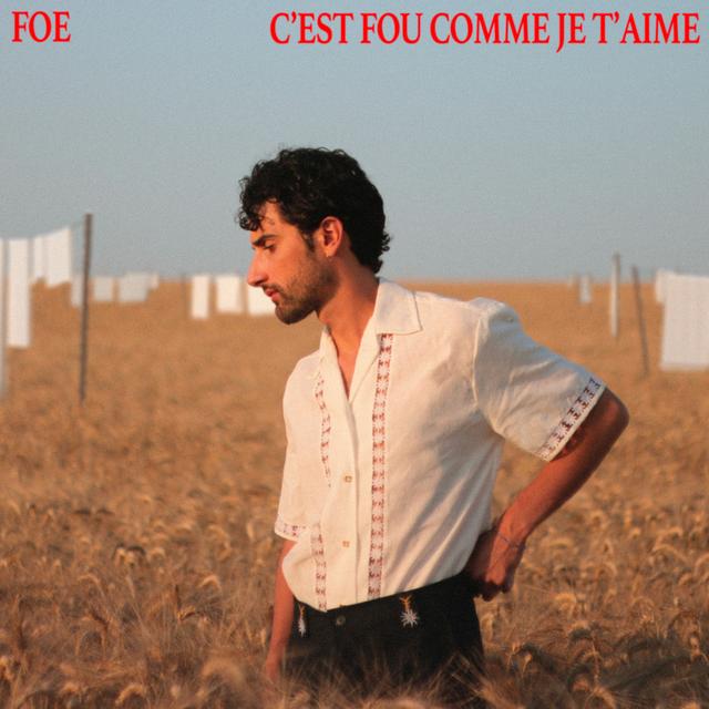 Album cover art for C'est fou comme je t'aime