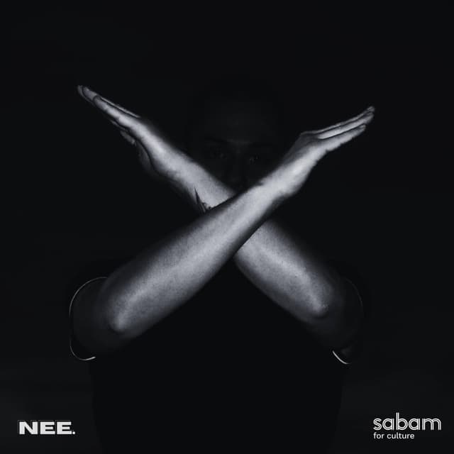 Album cover art for NEE.