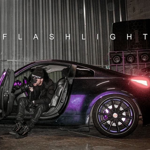 Album cover art for Flashlight