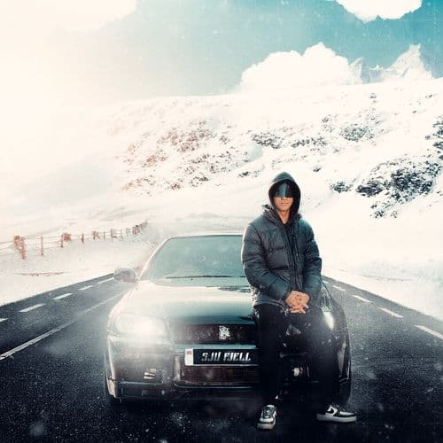 Album cover art for Sju Fjell