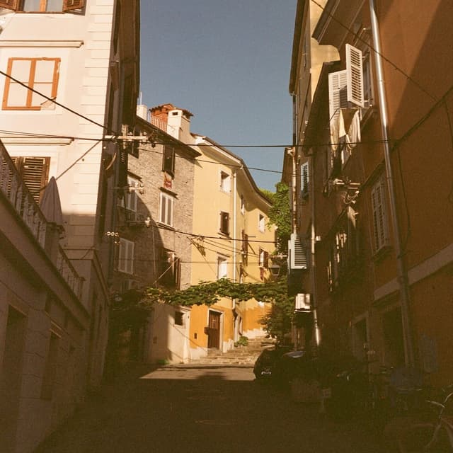 Album cover art for Verona