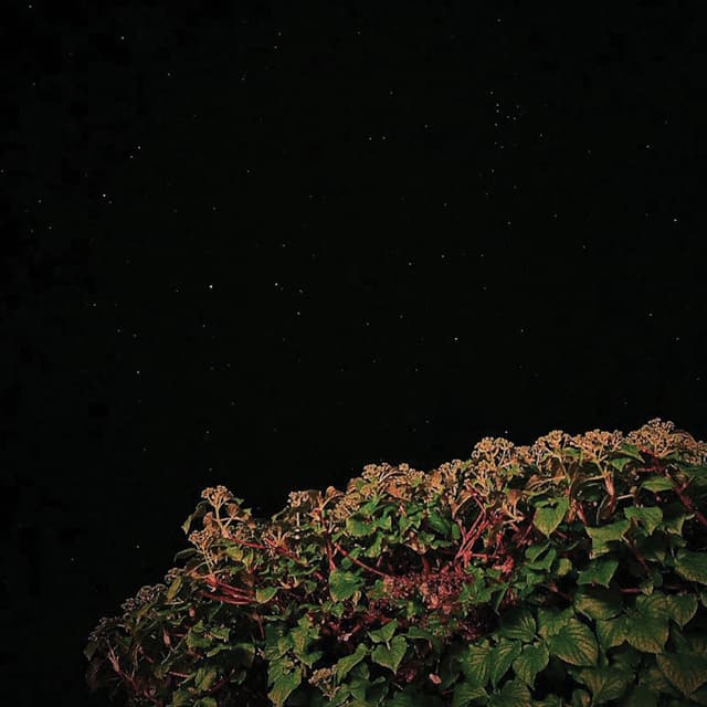 Album cover art for tape_01