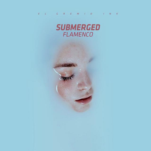 Album cover art for Submerged Flamenco
