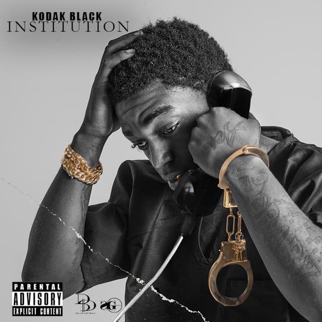 Album cover art for Institution