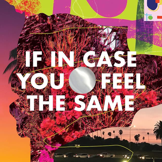 Album cover art for If In Case You Feel The Same