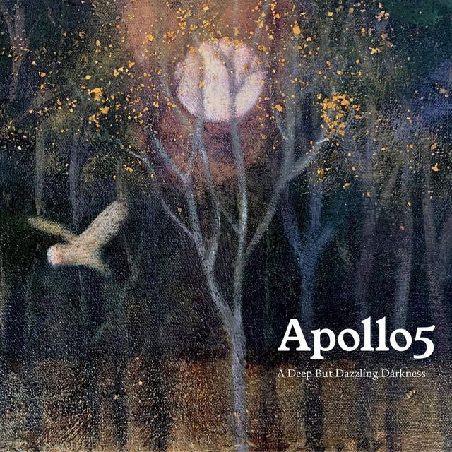 Album cover art for A Deep But Dazzling Darkness