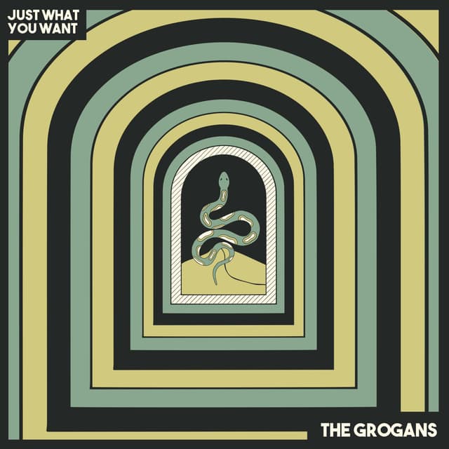 Album cover art for Just What You Want