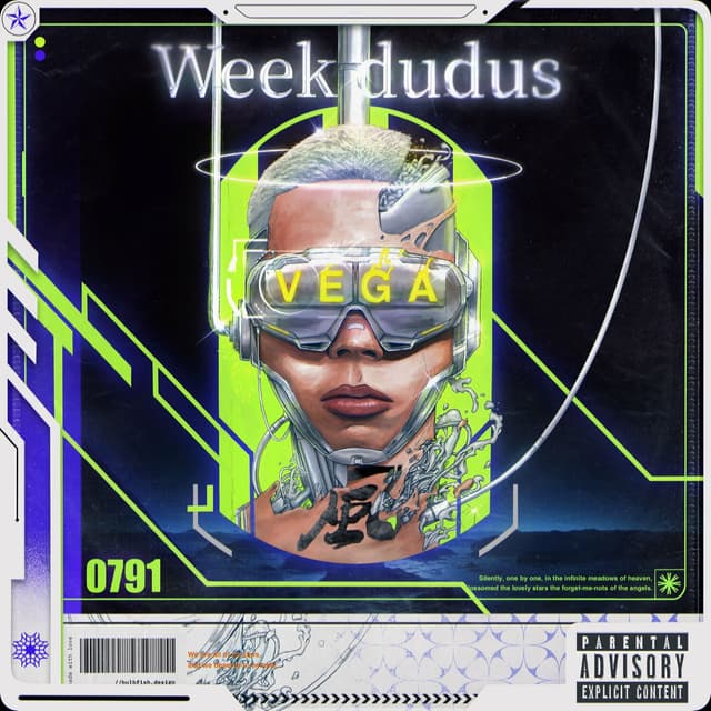 Album cover art for VEGA