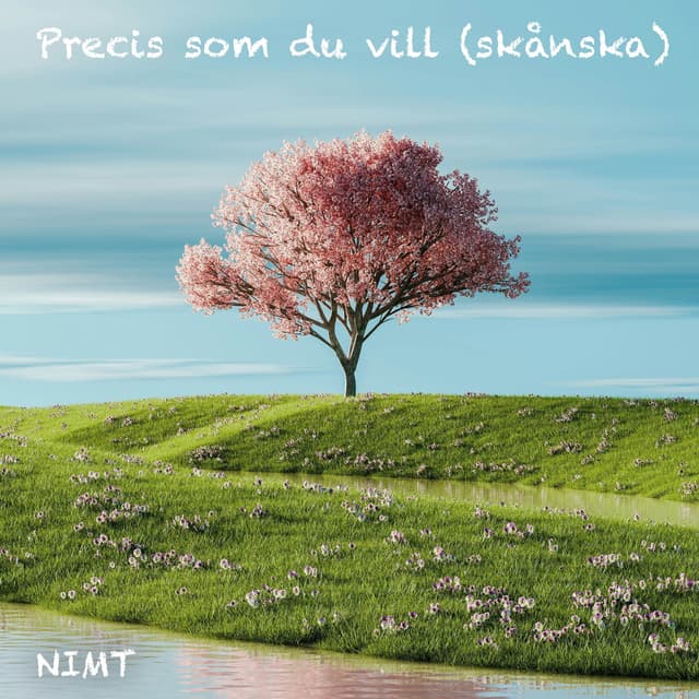 Album cover art for Precis som du vill (skånska)