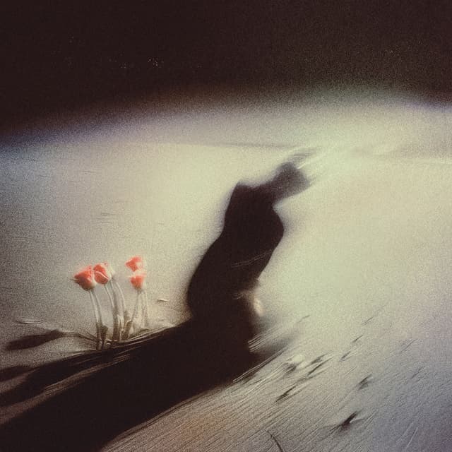 Album cover art for Silhouette