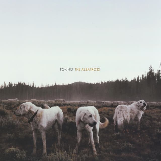 Album cover art for The Albatross