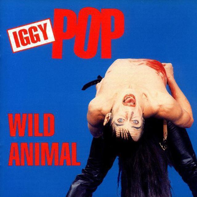 Album cover art for Wild Animal