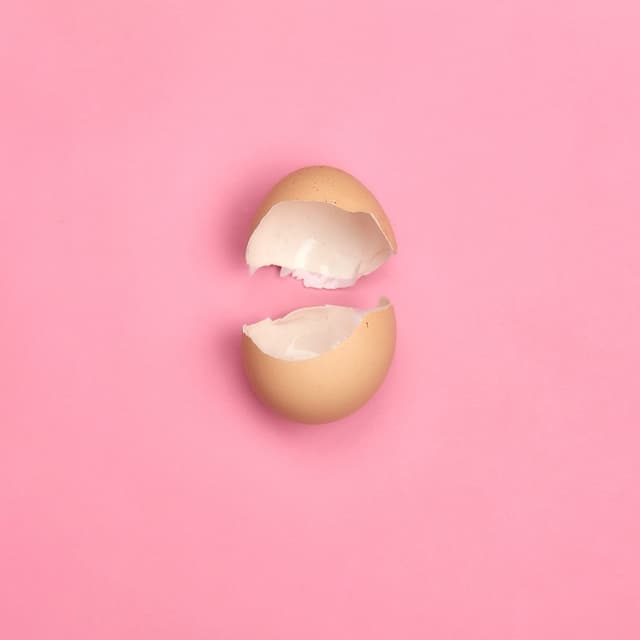 Album cover art for Fràgil