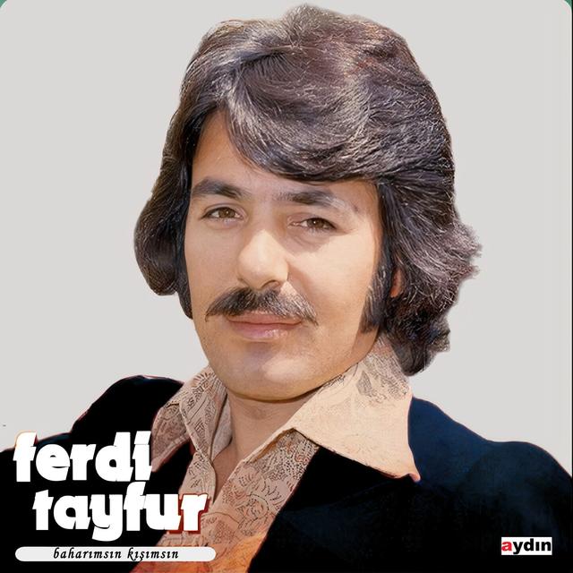 Album cover art for Baharımsın Kışımsın