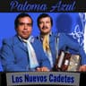 Paloma Azul