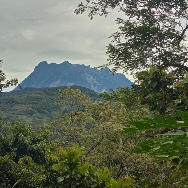 Album cover art for Dulu