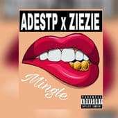 Album cover art for Mingle