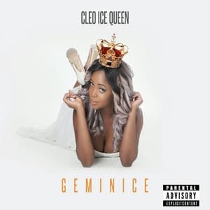 Album cover art for Geminice