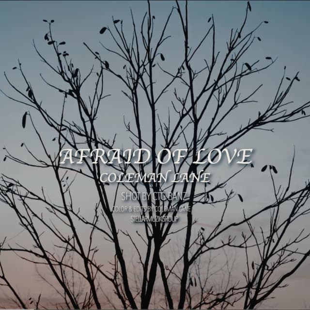 Album cover art for AFRAID OF LOVE