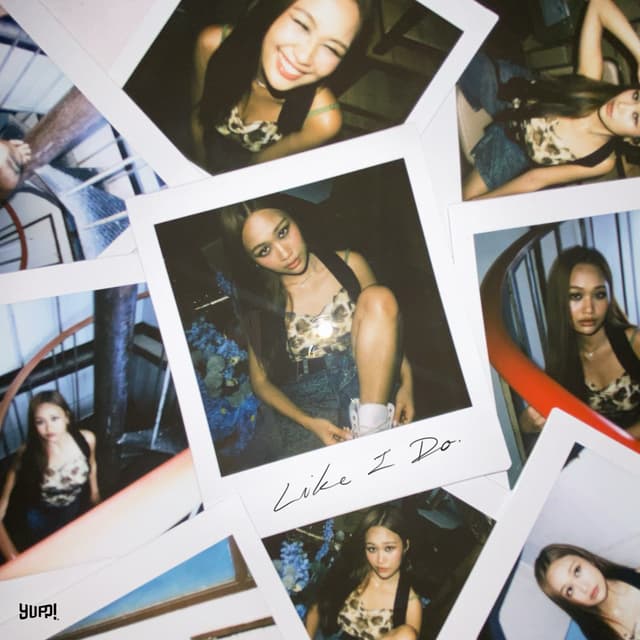 Album cover art for Like I Do