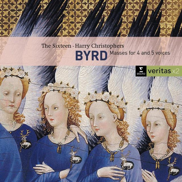 Album cover art for Byrd - Motets & Masses