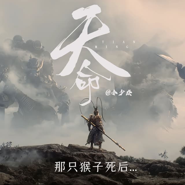 Album cover art for 天命 (那只猴子死后)