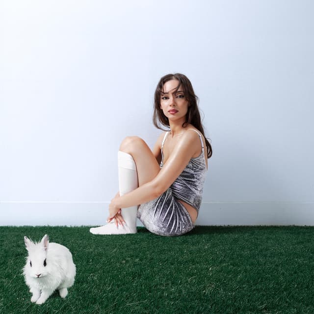 Album cover art for Le lapin blanc