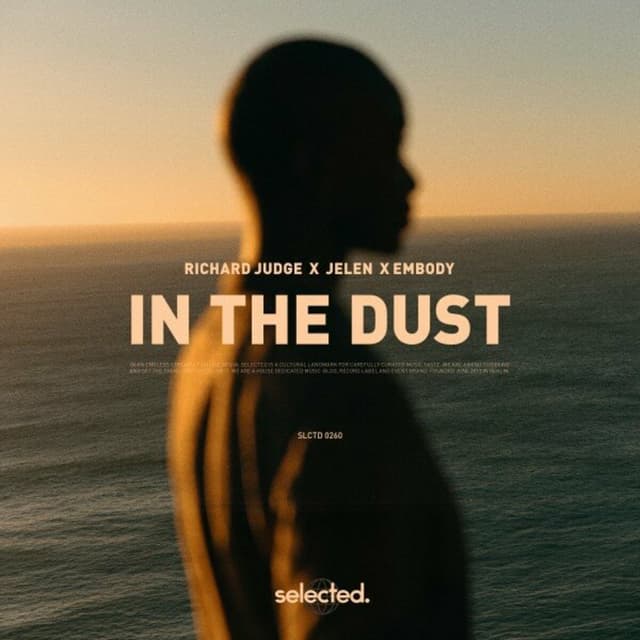 Album cover art for In The Dust