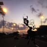 Лучший друг (Luchshij drug)