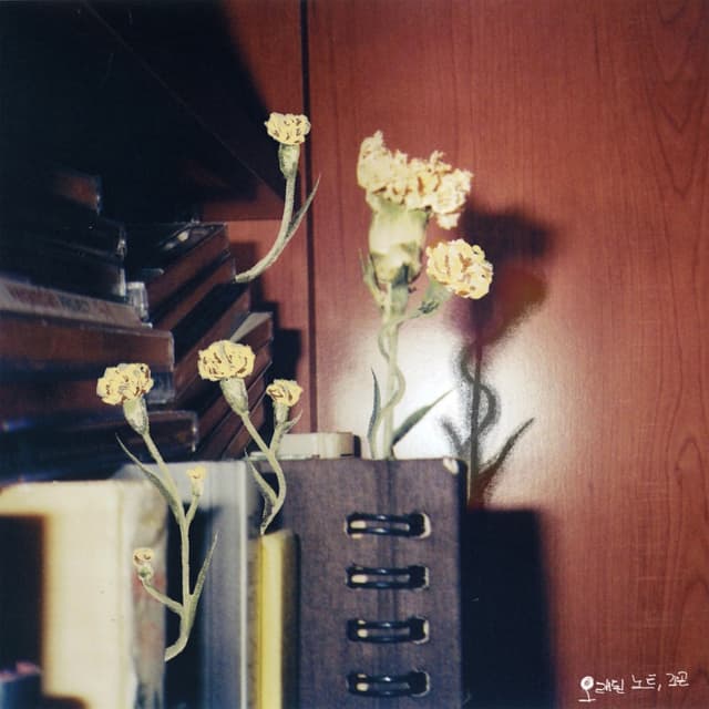 Album cover art for Old Notes