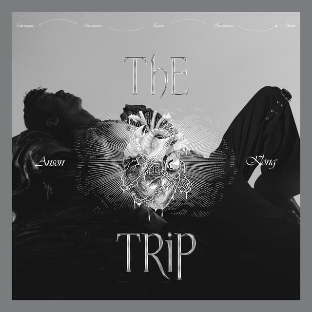 Album cover art for The Trip - EP