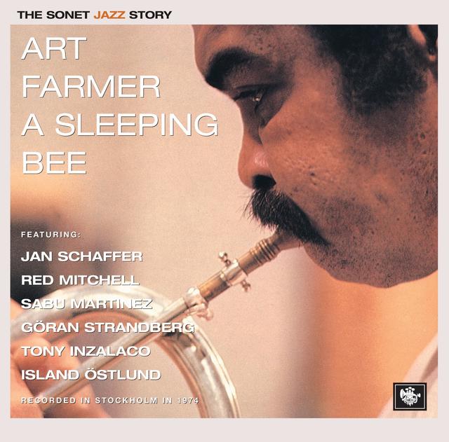 Album cover art for A Sleeping Bee