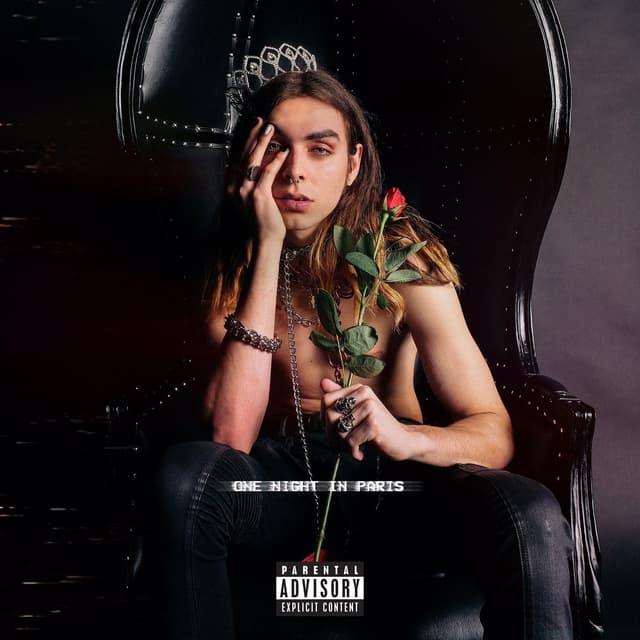 Album cover art for One Night in Paris