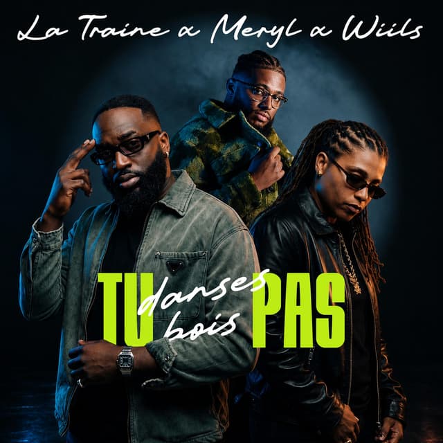 Album cover art for Tu danses pas tu bois pas