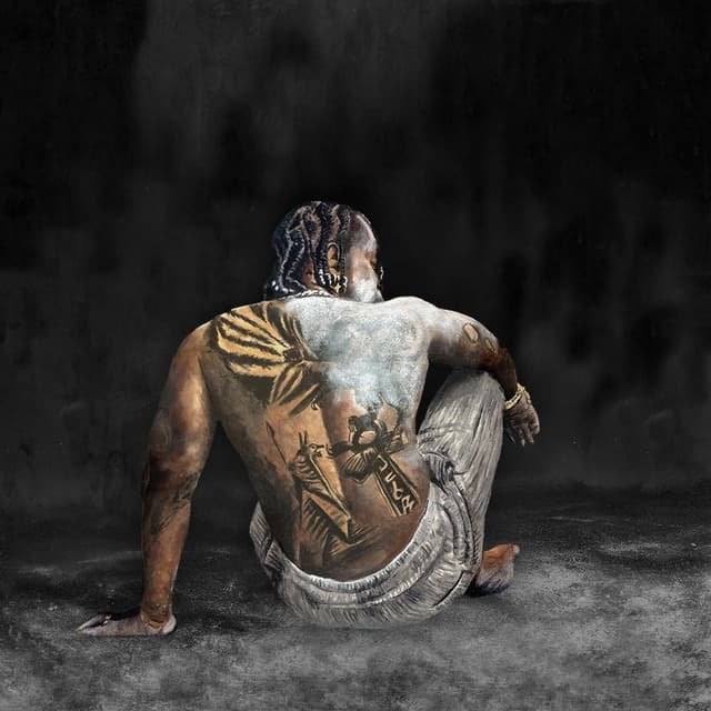 Album cover art for DUST DLX