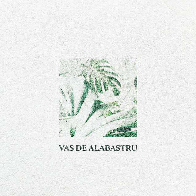 Album cover art for Vas De Alabastru