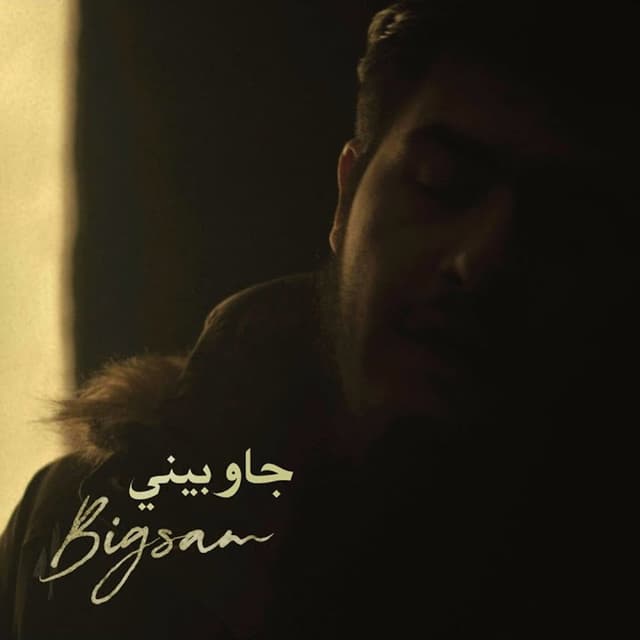 Album cover art for جاوبيني