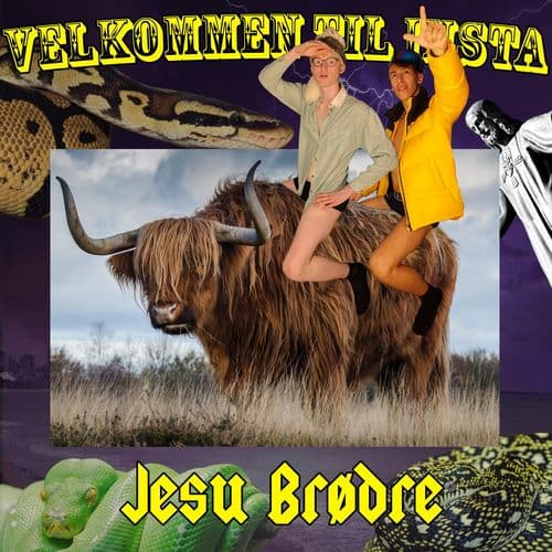 Album cover art for Velkommen Til Insta