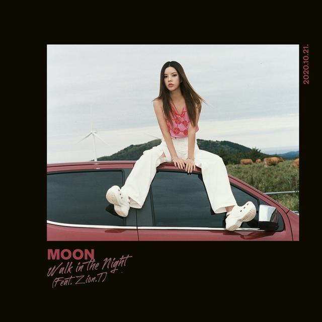 Album cover art for Walk In The Night (Feat. Zion.T)