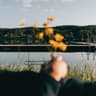Den sista sommaren