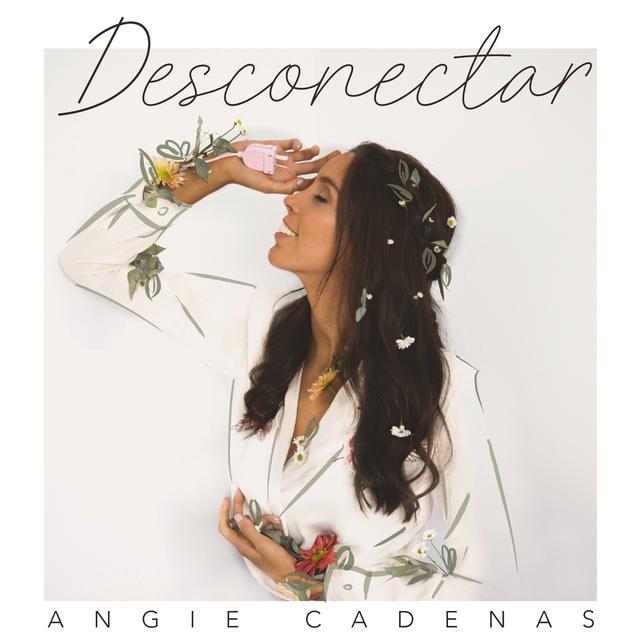 Album cover art for Desconectar