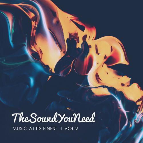 Album cover art for TheSoundYouNeed, Vol. 2