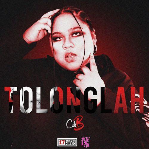 Album cover art for TOLONGLAH