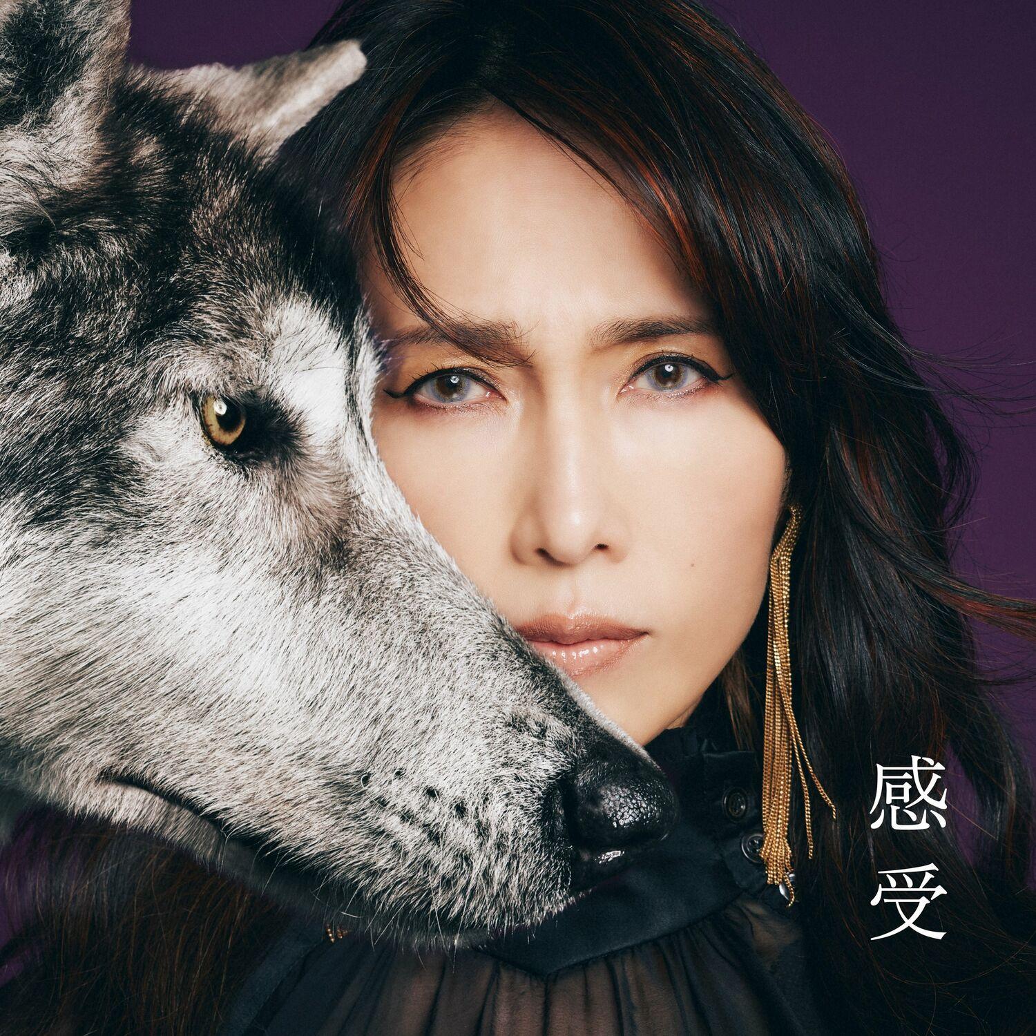 Kanjyu Shizuka Kudo 35th Anniversary self-cover album