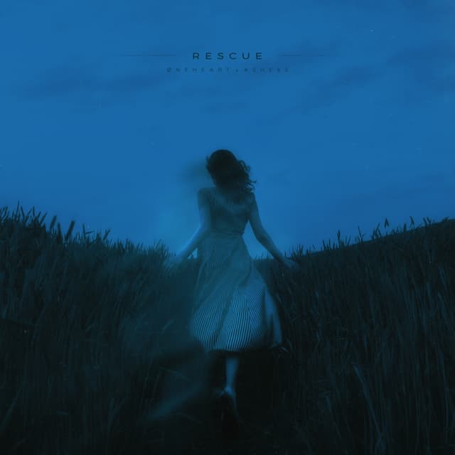 Album cover art for rescue