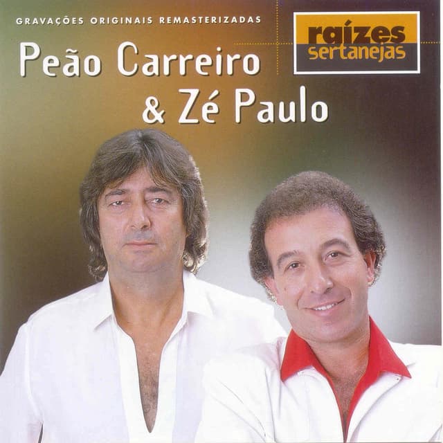 Album cover art for Raizes Sertanejas