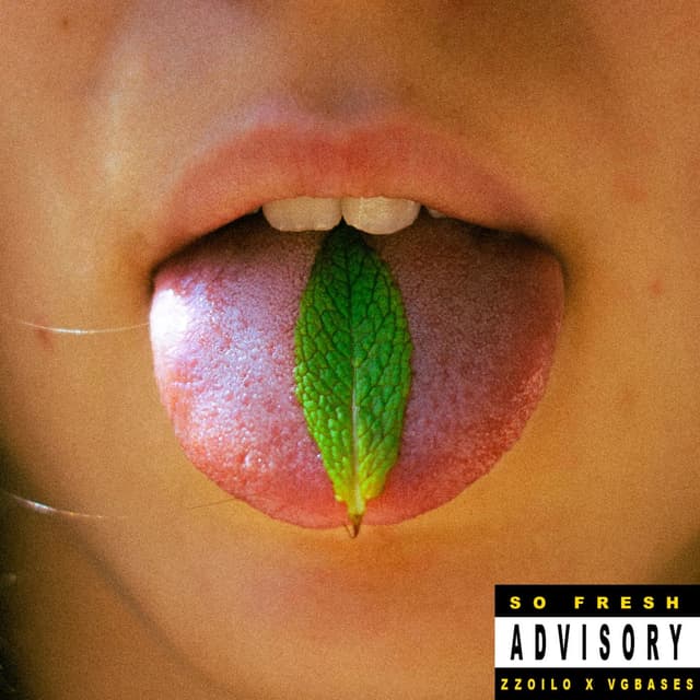 Album cover art for Menta